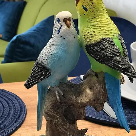 аpartment Bella Vista Διαμέρισμα Obzor