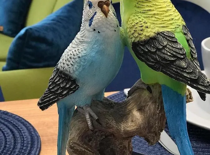 аpartment Bella Vista 公寓 奥布佐尔